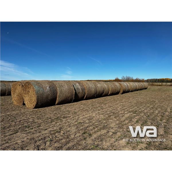 (40+/-) PEA STRAW BALES