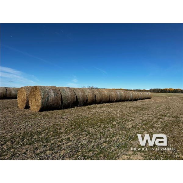 (40+/-) PEA STRAW BALES