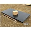 Image 3 : TMG 10 TON PLATFORM SCALE