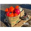 Image 2 : HARD HATS, WEATHERFRONT, CABLE, STRAPS