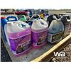 Image 5 : WASHER FLUID, ENGINE OIL, BUG SPRAY, 2-STROKE OIL