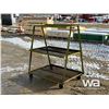 Image 2 : STEEL RACK ON CASTERS