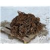 Image 1 : (2) 35.5L32 FORESTRY CHAINS