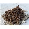 Image 4 : (2) 35.5L32 FORESTRY CHAINS