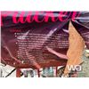 Image 4 : STAINLESS STEEL AUTOMATIC CHICKEN PLUCKER