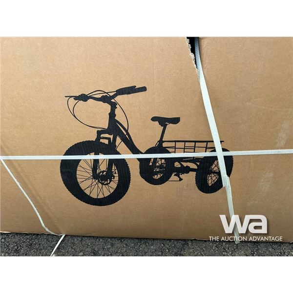 FAT TIRE TRICYCLE