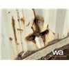 Image 5 : 2001 8X40 FT. SHIPPING CONTAINER