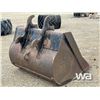 Image 3 : CWS 65 IN. CLEANOUT BUCKET