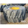 Image 2 : 35.5L-32 FORESTRY TIRE & RIM