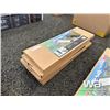 Image 2 : (5) 200 WATT YARD & STREET LED LIGHTS