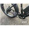 Image 11 : FAT TIRE ELECTRIC BIKE