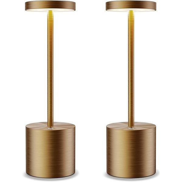Box of 2 USB Rechargeable Table Lamps; Cordless Table Lamps - Brushed Titanium - NEW