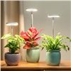 Image 1 : 3 Lordem Full-Spectrum Halo Grow Lights for Indoor Potted Plants - Adjustable Height & Timer - NEW