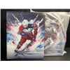 Image 1 : 2 Large Leather Trading Card Hockey Binders - 9-Pocket Pages Fits 900 Cards Each - New!