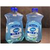 Image 1 : 2 Large Bottles of Dial Antibacterial Hand Soap - Spring Water Scent - 1.53L Each - New