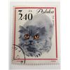 Image 1 : 1964 Cat Stamp - Poland