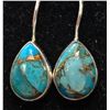Image 2 : SILVER TURQUOISE 8.95CT 3.75G EARRINGS
