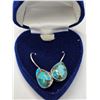 Image 3 : SILVER TURQUOISE 8.95CT 3.75G EARRINGS