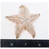Image 1 : NEW LARGE RHINESTONE FAUX PEARL STARFISH BROOCH