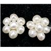 Image 1 : SILVER FRESH WATER PEARL  EARRINGS