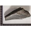 Image 2 : MEGALODON TOOTH 4" X 2" IN RIKER DISPALY BOX