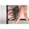 Image 4 : MEGALODON TOOTH 4" X 2" IN RIKER DISPALY BOX