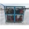 Image 3 : BLUE CAGE & FIRE EXTINGUISHERS