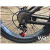 Image 10 : FAT TIRE ELECTRIC BIKE