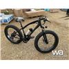 Image 2 : FAT TIRE ELECTRIC BIKE