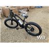 Image 4 : FAT TIRE ELECTRIC BIKE