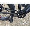 Image 10 : FAT TIRE ELECTRIC BIKE