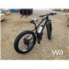 Image 3 : FAT TIRE ELECTRIC BIKE