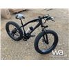 Image 2 : FAT TIRE ELECTRIC BIKE