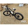 Image 4 : FAT TIRE ELECTRIC BIKE