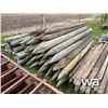 Image 2 : (44) 8 FT TREATED FENCE POSTS