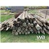 Image 3 : (44) 8 FT TREATED FENCE POSTS