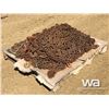 Image 3 : PALLET OF CHAINS