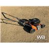 Image 3 : 7 HP PUSH MOWER