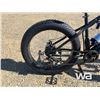 Image 14 : (UNUSED) FAT TIRE ELECTRIC BICYCLE