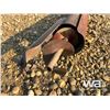 Image 4 : HEEMAN 6"x16 FT. HYD. AUGER