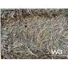 Image 7 : 612 SQUARE HAY BALES