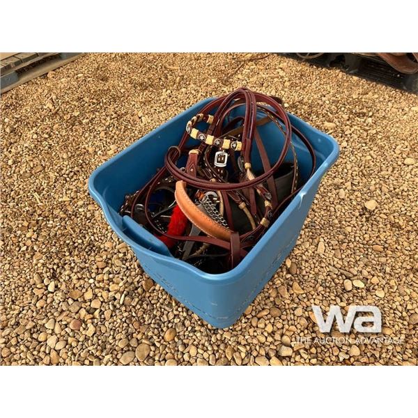 (2) HEADSTALLS & HORSE TACK