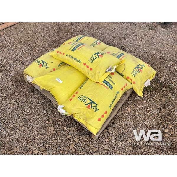 (6) BAGS OF SWEET CLOVER SEED