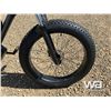 Image 12 : (UNUSED) FAT TIRE ELECTRIC BICYCLE