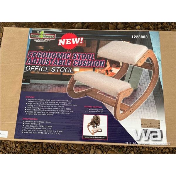 (UNUSED) ERGONOMIC STOOL ADJUSTABLE CUSHION