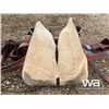 Image 6 : LONGHORN 15.5" WESTERN SADDLE