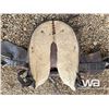 Image 5 : 14.5" WESTERN SADDLE