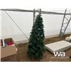 Image 2 : CHRISTMAS SPRUCE TREE
