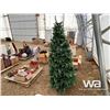 Image 3 : CHRISTMAS SPRUCE TREE