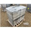 Image 2 : (2) TEMPSTAR HIGH EFFICIENT FURNACES